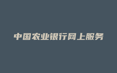 中国农业银行网上服务