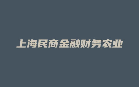 上海民商金融财务农业银行账号