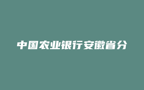 中国农业银行安徽省分行清算中心