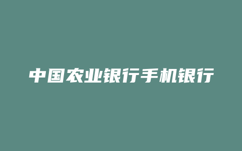中国农业银行手机银行登录